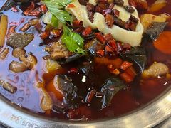-晓彭肥肠鸡·泡椒鸡火锅(水木天地店)