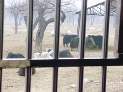 景点-西安秦岭野生动物园