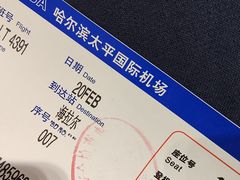 -哈尔滨太平国际机场-T2航站楼