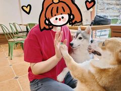 -柯斗斗主题餐厅·狗咖·围炉煮茶·茶饮(国瑞升平里店)