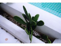 -几静cafe(基湖店)