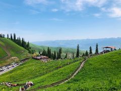 -新疆那拉提国家旅游度假区