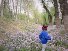 -东郊湿地公园