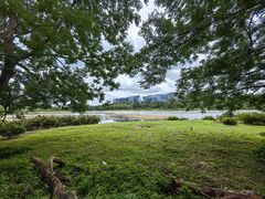 -华侨城湿地公园