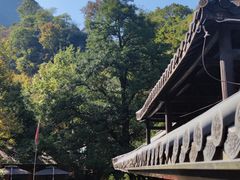 -藏龙百瀑风景区