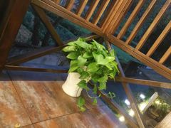 -随意茶庄·地道杭帮农家菜(梅家坞店)
