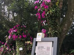 -广州市石门国家森林公园