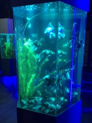 -未来动物城主题公园(正弘城店)
