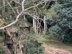 -野象谷景区