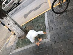 -景泰马记电烤串