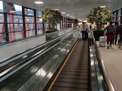 -谢列梅捷沃国际机场