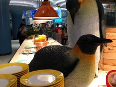 -帝企鹅自助餐厅•儿童岛•真企鹅(长隆企鹅酒店)