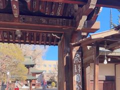 -医王山·飞騨国分寺
