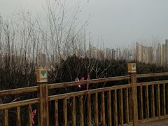 -南翠屏公园
