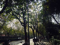 -Pistolera Mexican Cantina女枪手墨西哥餐厅(碧云路店)