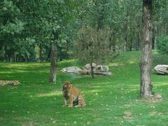 -北京野生动物园