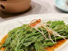 清炒丝瓜尖-四世同堂·京菜·烤鸭(双井店)