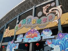 -泉城欧乐堡海洋极地世界