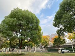 -后襄河公园