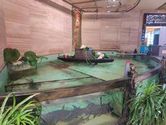 -楚鱼王·河鲜·湖北菜(华农店)