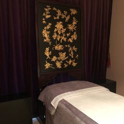 -美健盛世·美容SPA连锁