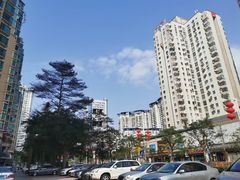 -锦园春香港茶餐厅(西海湾旗舰店)