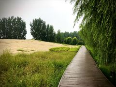 -东郊湿地公园