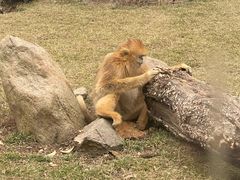 -西安秦岭野生动物园