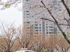 -西北湖绿化广场