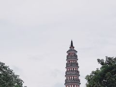 -顺峰山公园