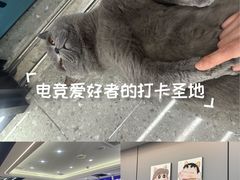 -网鱼网咖·电竞(南开百脑汇店)