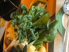 -润园四季椰子鸡火锅(海上世界店)