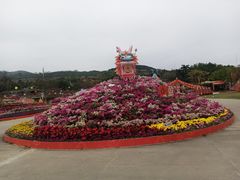 -盈香心动乐园
