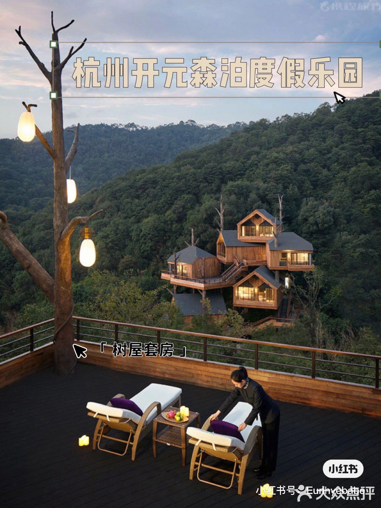 住不腻的树屋酒店