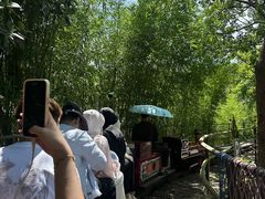 -海南槟榔谷黎苗文化旅游区