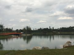 -白鹭湾湿地公园