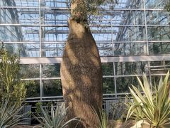 -南山植物园