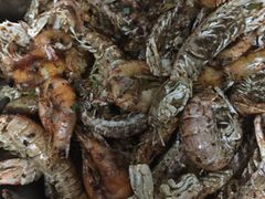 -浪琴湾尾角仔海鲜坊