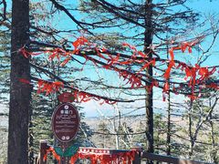 -凤凰山国家森林公园