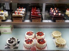 -幸福鸟动物奶油生日蛋糕(军校店)