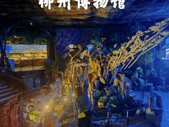 -柳州博物馆