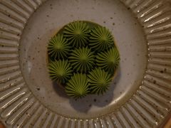 -猫里有甜