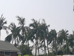 -万绿园
