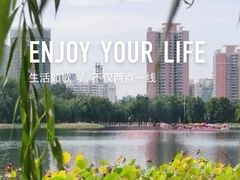 -莲花池公园