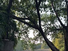 -晓港公园