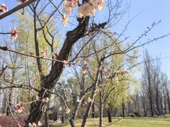 -林栖谷森林康养度假区