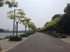 -中国科学技术馆影院