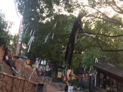 -横店影视城梦幻谷园区