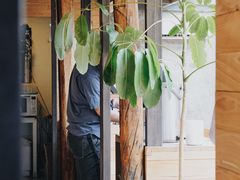 -VOYAGE COFFEE(北锣鼓巷店)