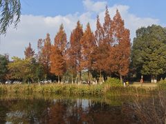 -白鹭湾湿地公园